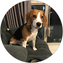 Karen Png profile picture